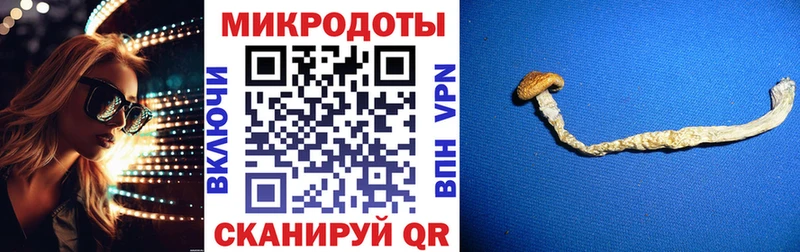 Псилоцибиновые грибы MAGIC MUSHROOMS  сайты даркнета телеграм  Знаменск 
