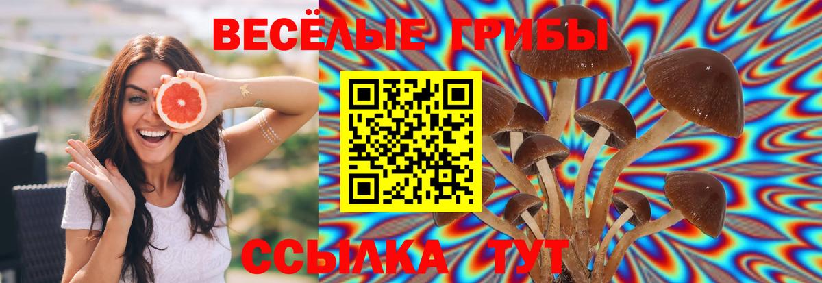 Галлюциногенные грибы ЛСД  Псилоцибиновые грибы прущие грибы  как найти закладки  Знаменск  Вход с VPN 